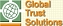 GlobalTrust Solutions