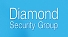 Diamond Security Group