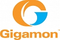 Gigamon