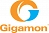 Gigamon Systems