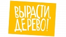 Зеленый капитал Зеленый капитал