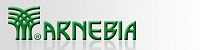 ARNEBIA ARNEBIA